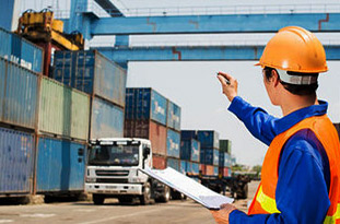 Cargo Surveys